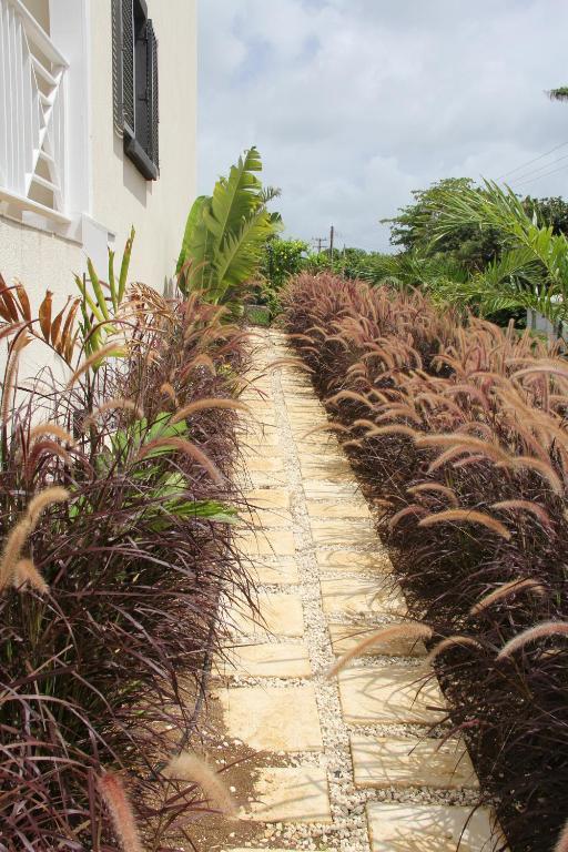 Lantana Resort Barbados by Island Villas Saint James Exterior foto
